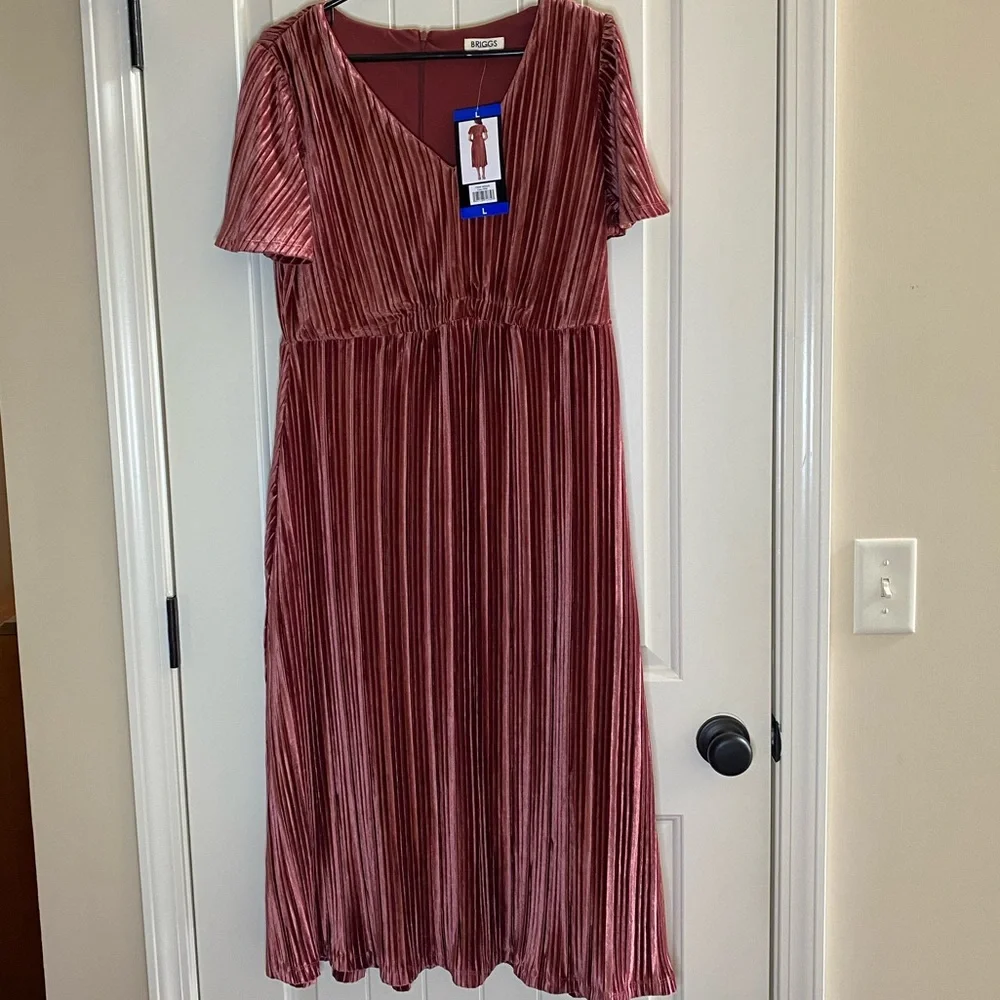 Women’s Briggs Pink Dress Large NWT - Picture 1 of 5